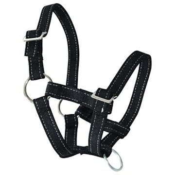 Grimma Ryom Bagge