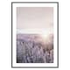 Poster Gallerix Provence Lavender