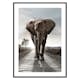 Poster Gallerix Elephant Road