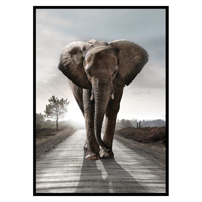 Poster Gallerix Elephant Road