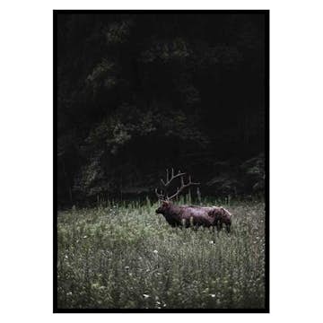 Poster Gallerix Deer in Nature