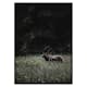 Poster Gallerix Deer in Nature
