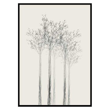 Poster Gallerix Sketched Trees