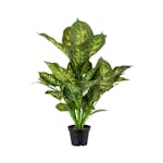 Konstväxt Fröken Fräken Prickblad Grön Kruka