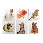 Pussel ABA Skol Husdjur 6 Olika