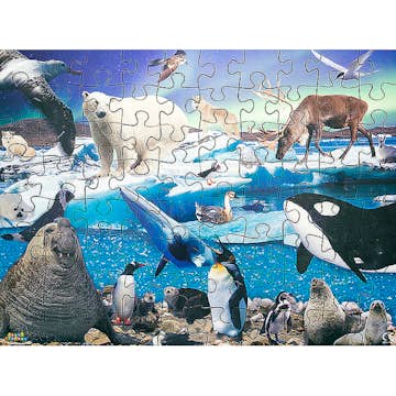 Pussel ABA Skol Polarområden 80 Bitar