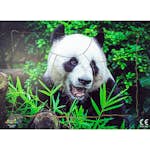 Pussel ABA Skol Rampussel Panda 10 Bitar