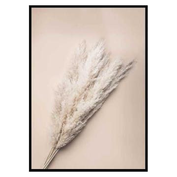 Poster Gallerix Pampas Grass