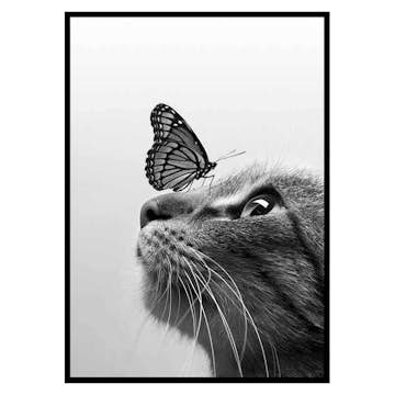 Poster Gallerix Butterfly Cat