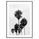 Poster Gallerix L.A Palm Trees