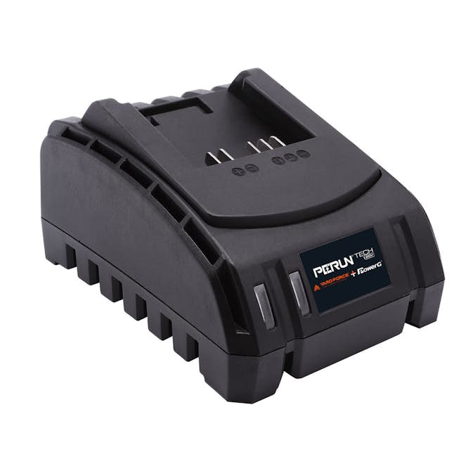 Batteriladdare Yardforce 120-240V Enkel