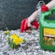 Ogräsbekämpning Neudorff Effekt Spray 3L för Trädgård