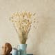 Tapet Eijffinger Posy 316021