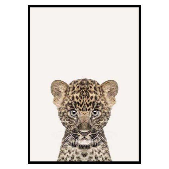 Poster Gallerix Baby Leopard