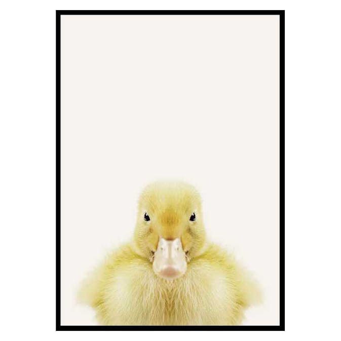 Poster Gallerix Baby Duck
