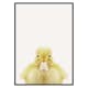 Poster Gallerix Baby Duck