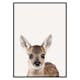Poster Gallerix Baby Deer