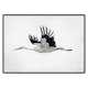 Poster Gallerix Watercolor Stork