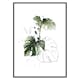 Poster Gallerix Watercolor Botanical No2