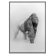 Poster Gallerix Faded Gorilla