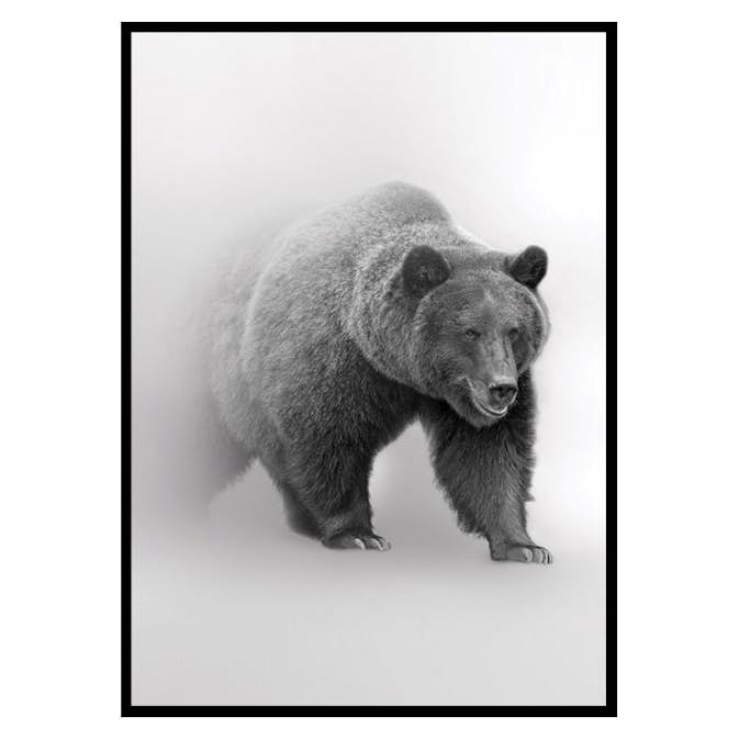 Poster Gallerix Faded Bear