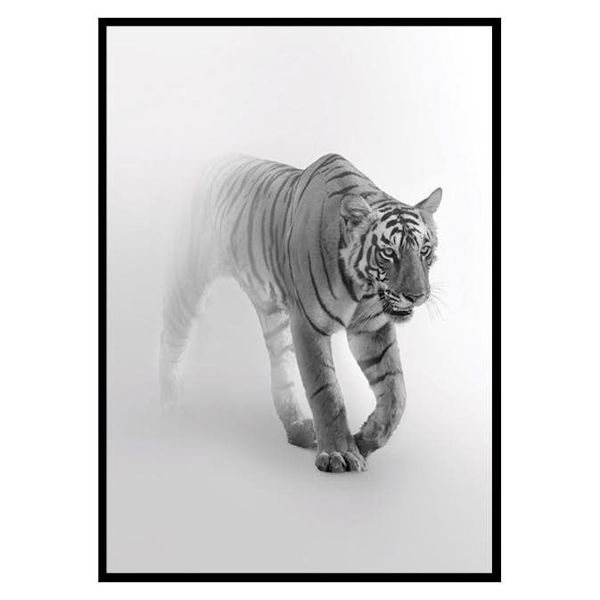 Poster Gallerix Faded Tiger