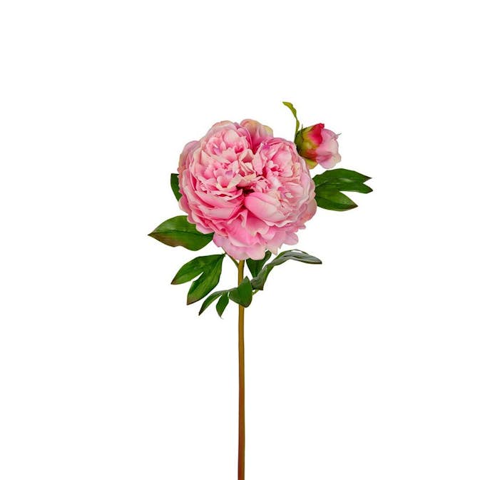 Konstväxt Fröken Fräken Pion