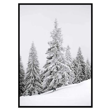 Poster Gallerix Spruce In Winter