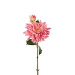Konstväxt Fröken Fräken Dahlia 70 cm