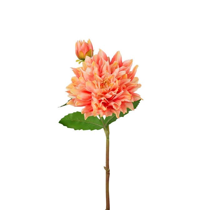 Konstväxt Fröken Fräken Dahlia 70 cm