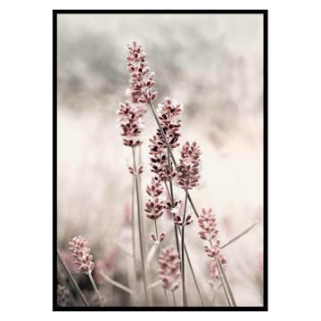 Poster Gallerix Dried Plants No4