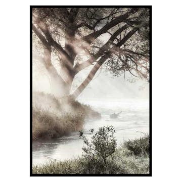 Poster Gallerix Foggy Dawn