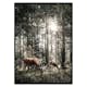 Poster Gallerix Deer In Sunlight