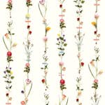 Fototapet Eijffinger PIP 2014 341087