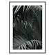 Poster Gallerix Palm Leaf No1