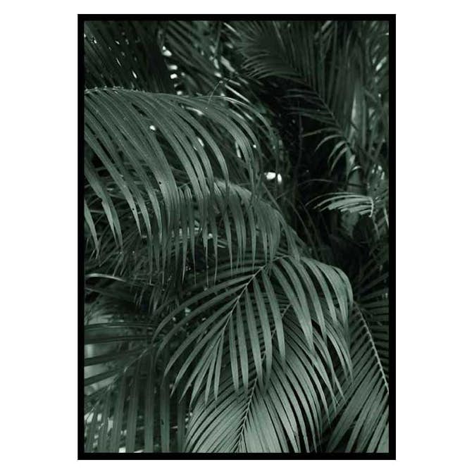 Poster Gallerix Palm Leaf No2