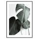 Poster Gallerix Green Leaves No1
