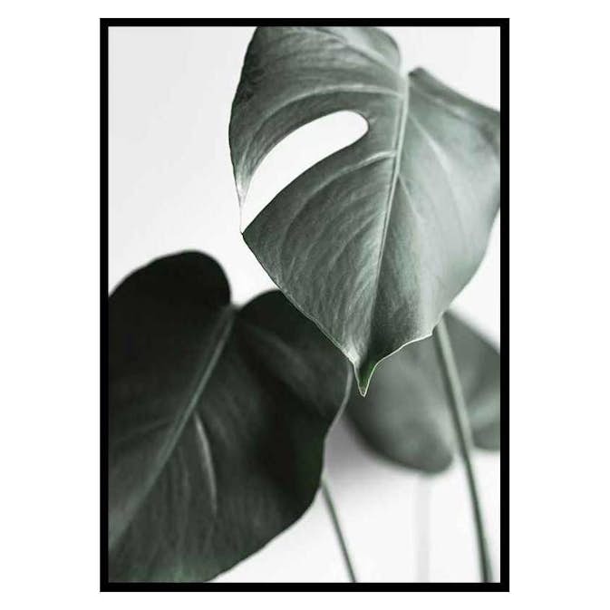 Poster Gallerix Green Leaves No1