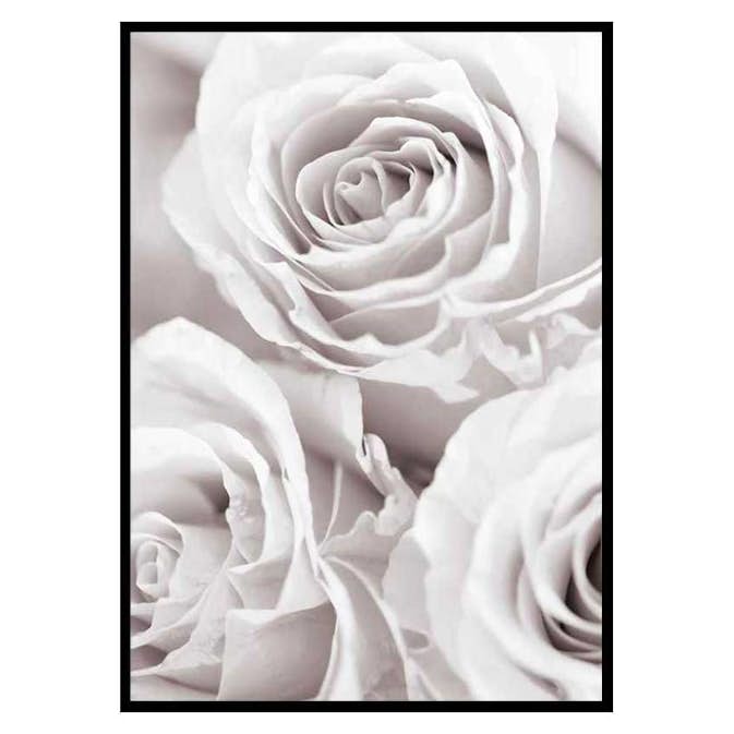 Poster Gallerix Bright Pink Roses No1
