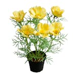 Konstväxt Fröken Fräken Rosenskära 40 cm