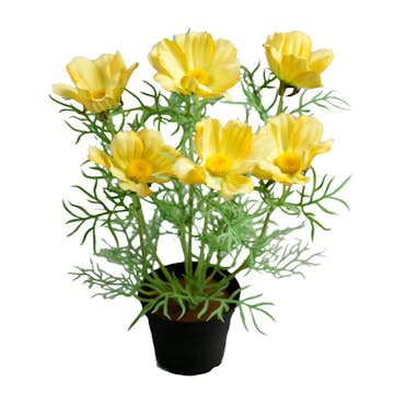 Konstväxt Fröken Fräken Rosenskära 40 cm
