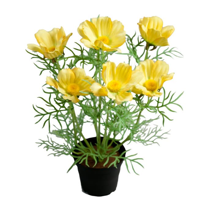 Konstväxt Fröken Fräken Rosenskära 40 cm
