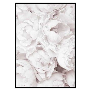 Poster Gallerix Bright Pink Roses No3
