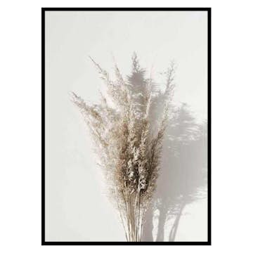 Poster Gallerix Dry Reeds No1