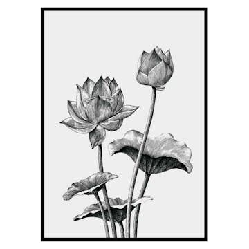 Poster Gallerix Sketched Flowers