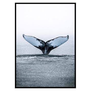 Poster Gallerix Humpback Whale