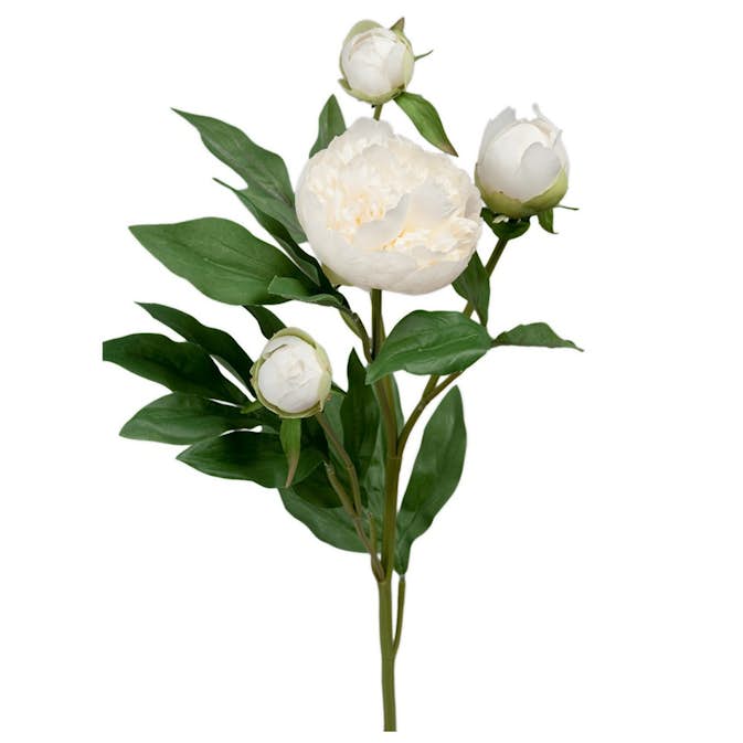 Konstväxt Fröken Fräken Pion 65 cm