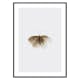 Poster Gallerix Watercolor Butterfly