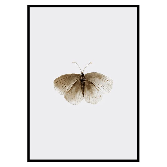 Poster Gallerix Watercolor Butterfly