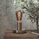 LED-lampa Star Trading E27 ST64 Decoled Grace